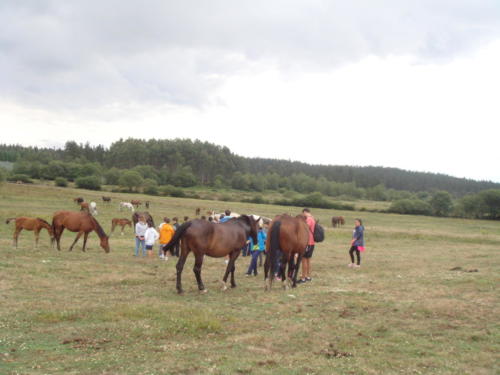DSC07344